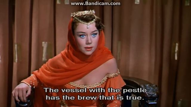 The court jester- The vessel with the Pestle смотреть онлайн
