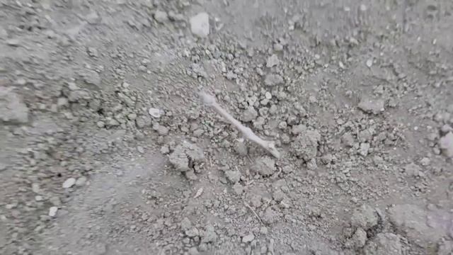 #589СДАЛИ МЕТАЛЛОЛОМ/ОТМЫЛА ТЕПЛИЦУ ОТ ЗЕЛЕНИ смотреть онлайн