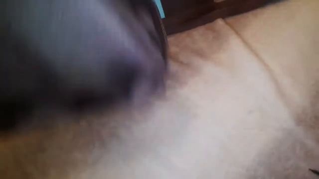 Двухцветный купальник своими руками смотреть онлайн