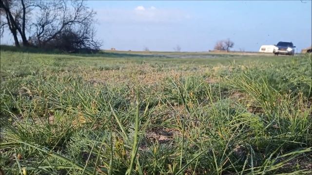 Воспоминания о Кинбурнской косе Май 2021