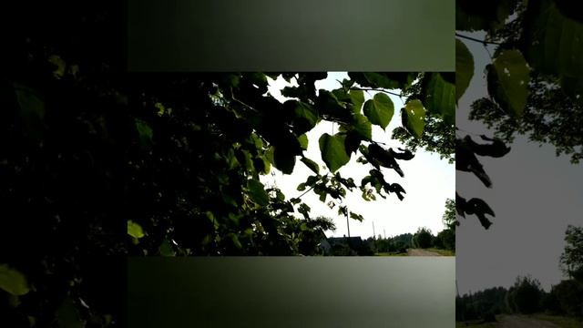 Деревня моя… Родительский дом.. (Видео) смотреть онлайн