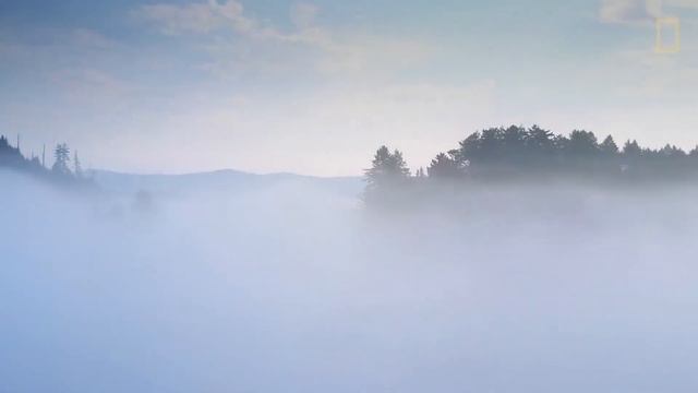 "Life in the Earth" смотреть онлайн