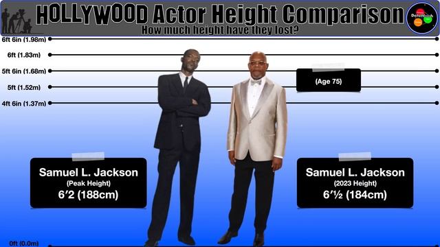 Hollywood Actor Height Comparison | How Much Have They Lost? смотреть онлайн