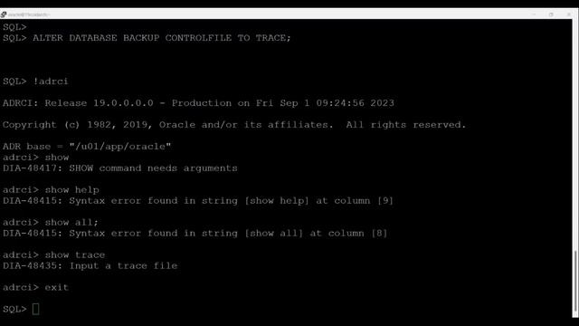 Free-Oracle-19c-Old-Arch-DBA-Workshop-L13-Morning-Session смотреть онлайн