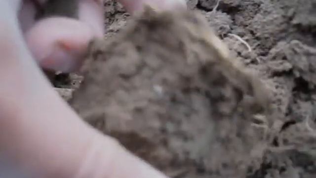 Этот ролик посвящается обычным копарям! смотреть онлайн