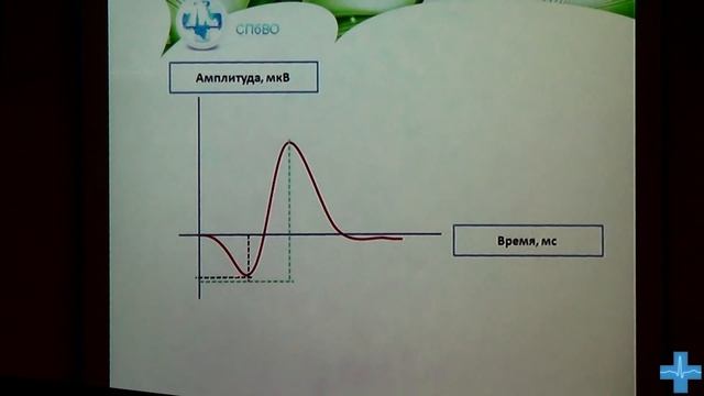 Электроретинография: просто о сложном. Клинические случаи смотреть онлайн