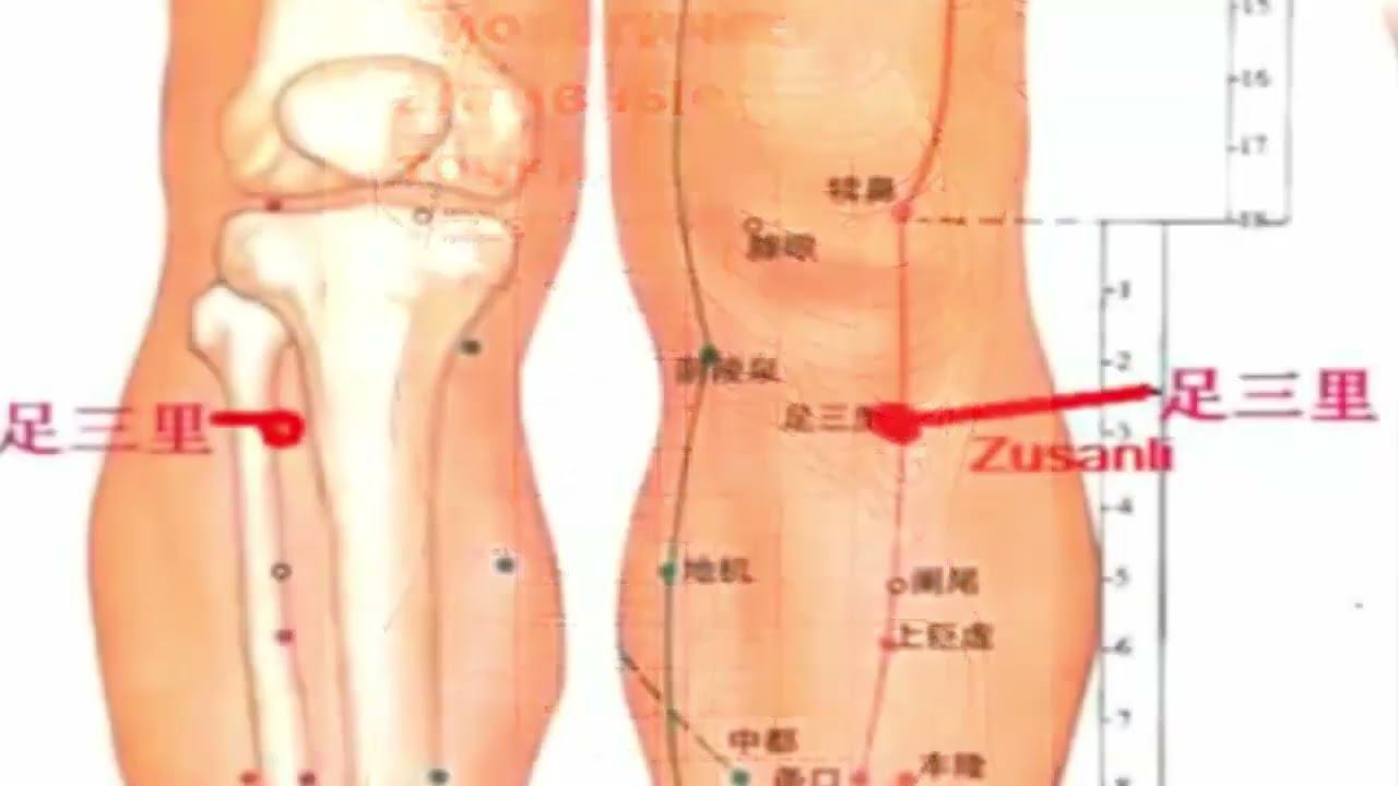 НАИБОЛЕЕ ВАЖНЫЕ БИОЛОГИЧЕСКИ АКТИВНЫЕ ТОЧКИ ТЕЛА ЧЕЛОВЕКА. НАГЛЯДНЫЙ АТЛАС БАТ. смотреть онлайн