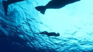 Фильм Откровение Ионы