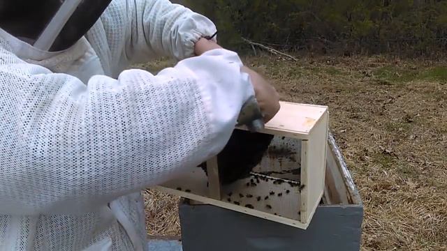 Bee Package Pickup And Install смотреть онлайн