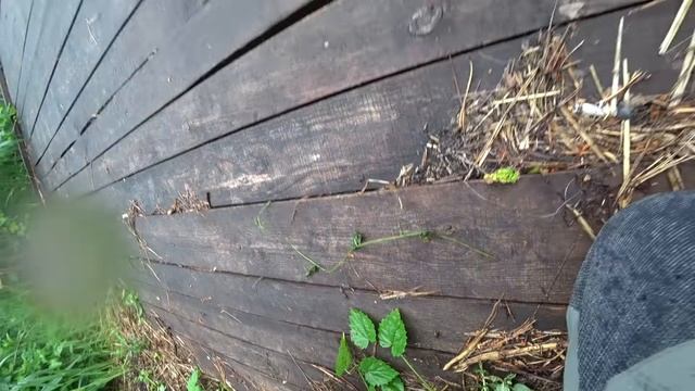 Рыбалка против правил !!!!Толстый поводок -мелкие воблера!!! смотреть онлайн