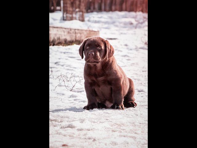 MAH08418 смотреть онлайн