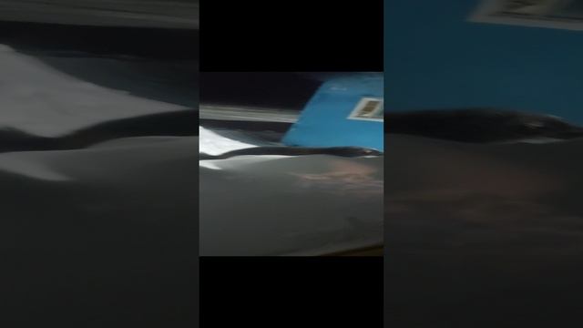 Росомаха и Песец  Друзья навсегда.