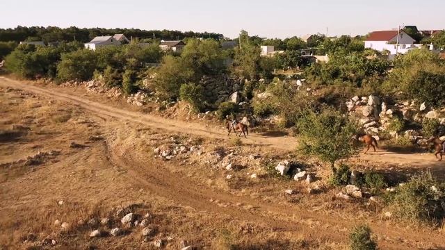 Прогулка на лошадях клип реклама смотреть онлайн