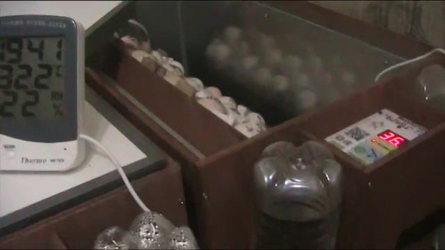 Вопрос охлаждения и установки гигрометра в инкубаторе Блиц- 72 цифровой //Секреты хороших урожаев. смотреть онлайн