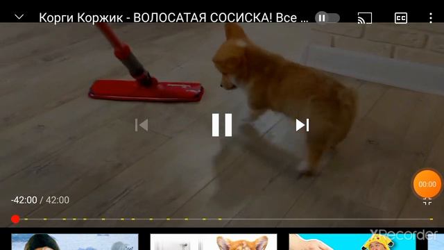 Кто забыл про это видео смотрите это видео смотреть онлайн