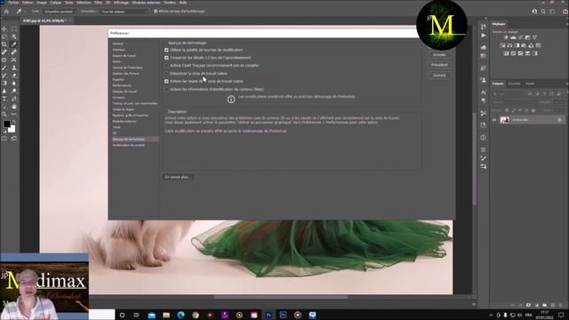 TUTO PHOTOSHOP régler le problème de votre GPU смотреть онлайн