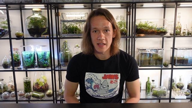Ten Terrarium Tips For Beginners!