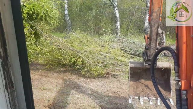 Очистка участка от деревьев смотреть онлайн