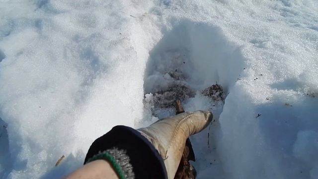 Весенний выезд в поля. Убегаю от медведя. Сбор сосновой почки. Поиски металлолома. смотреть онлайн