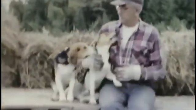 Clifford Walter Holm Farm 16mm Part 1 смотреть онлайн