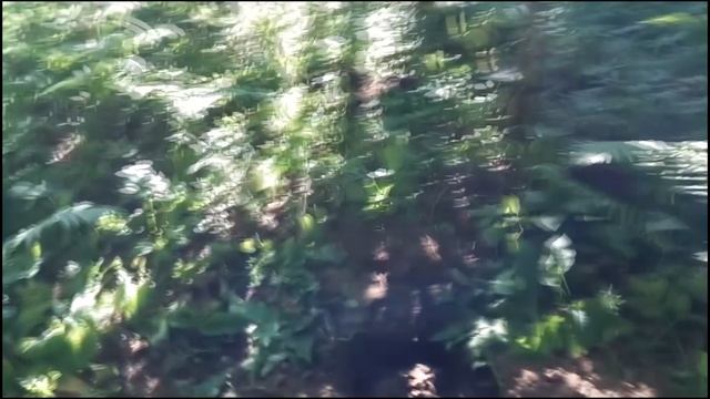 Редкая домонгольская привеска.mp4 смотреть онлайн