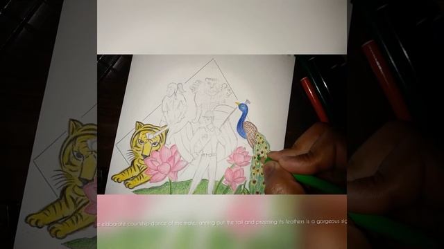 Easy colored Pencil sketch for Republic day | National symbols ??| смотреть онлайн