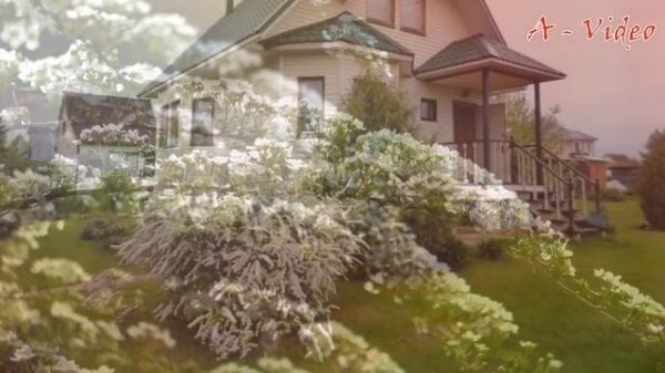 ?Великолепные идеи для творческого вдохновения / Great Garden Ideas / A - Video