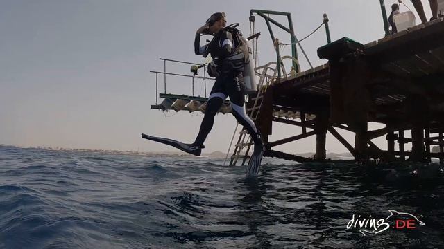 Diving.DE Flamenco el Quseir 2022 смотреть онлайн