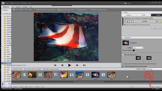 APE11 07 PHOTOSHOP ELEMENTS 11 ORGANIZER CREARE UNA PRESENTAZIONE DI FOTO 2° PARTE смотреть онлайн