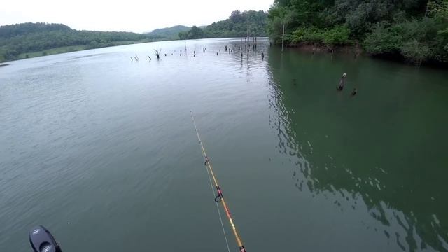 Garmin Panoptix Livescope: Is it worth the money or did I make a HUGE mistake? смотреть онлайн