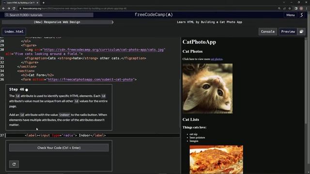 Learn HTML by Building a Cat Photo App - Step 46 смотреть онлайн
