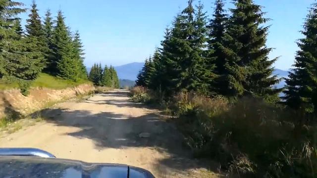 Луковиця карпати смотреть онлайн