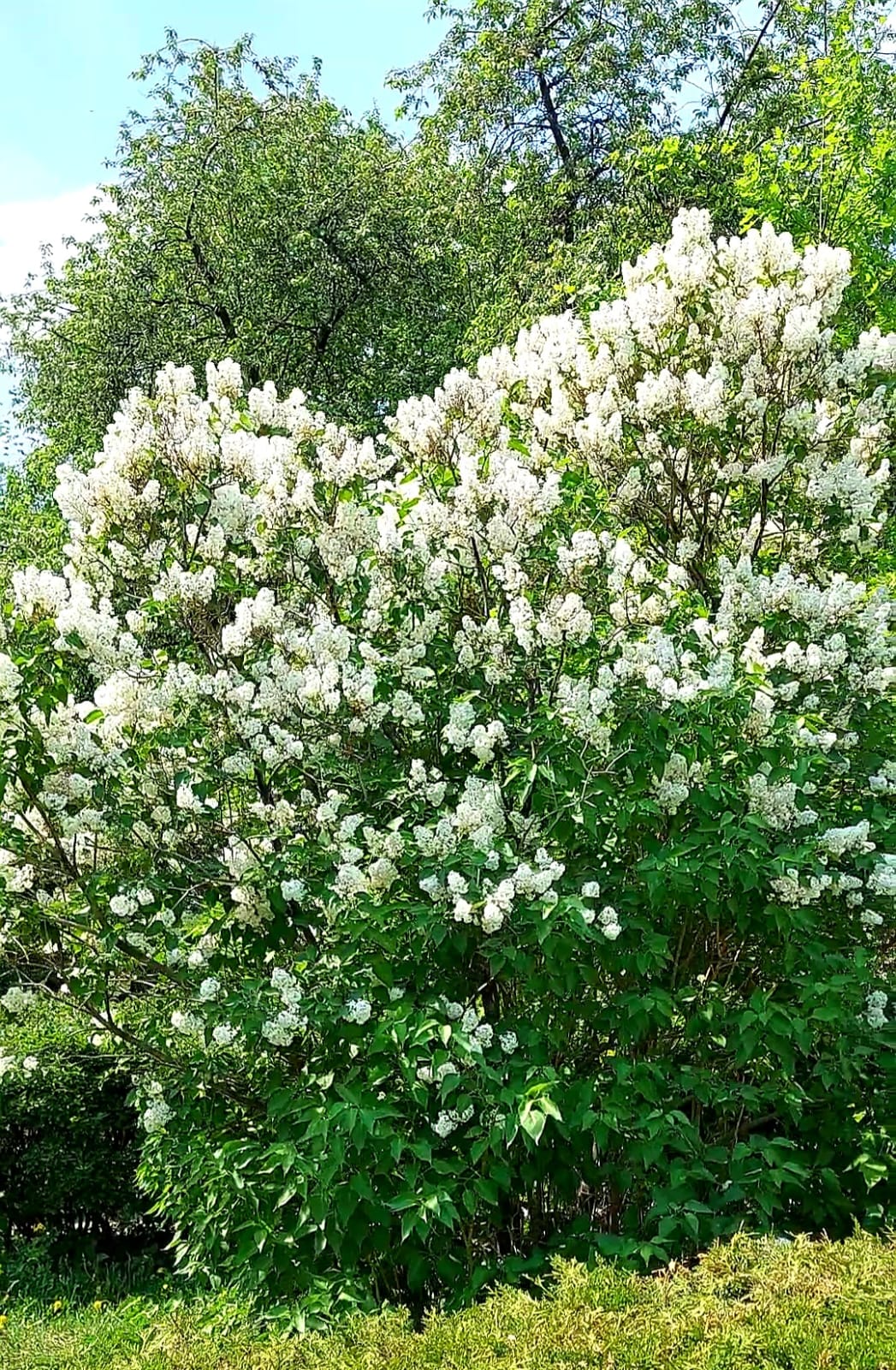 Некультурная столица