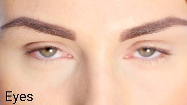 Letter E Words | words that start with letter e with Live Examples | twin kids zone смотреть онлайн