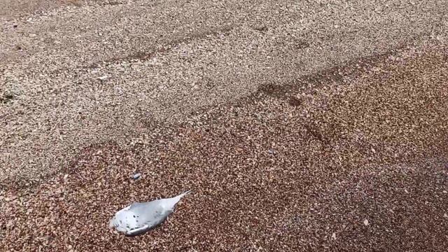Должанская температура воды в мае смотреть онлайн