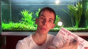 Определим пол у Данио рерио. Нерест? Аквариумистика