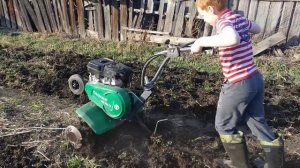 Культиватор Caiman