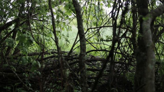 ABDULLOH DOMLA ERIDAN BOSHQAGA AVRATINI KO'RSATKAN AYOLAR XAQIDA