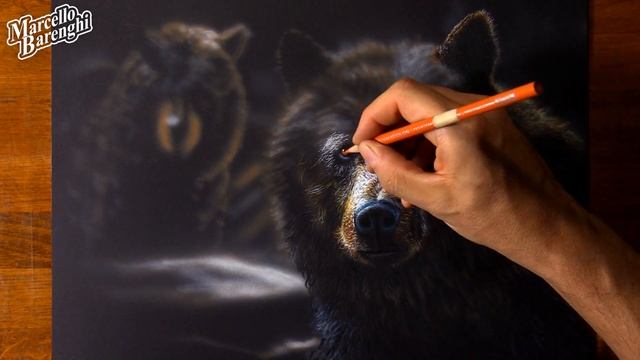 Bear Drawing смотреть онлайн