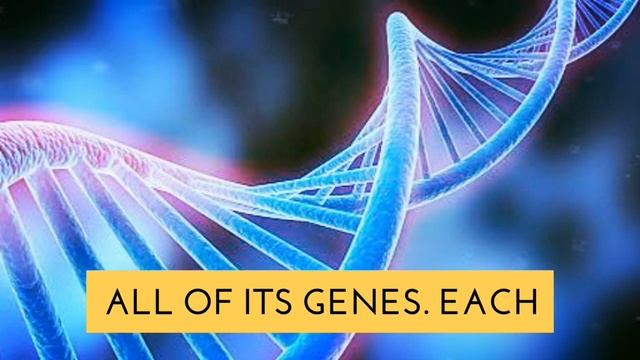 What is Genome? | Hindi I Sanjay Verma смотреть онлайн