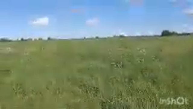 Сколько можно заработать в день, в Англии украинским беженцам? смотреть онлайн