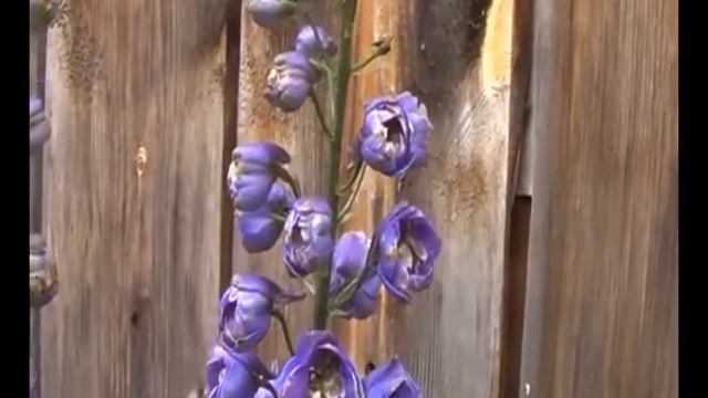 Кухня Байкала