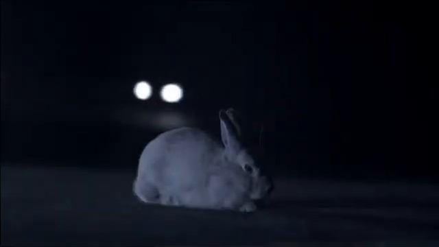 Luxgen 7 SUV Night Vision+