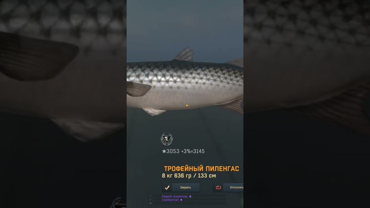 пиленгас смотреть онлайн