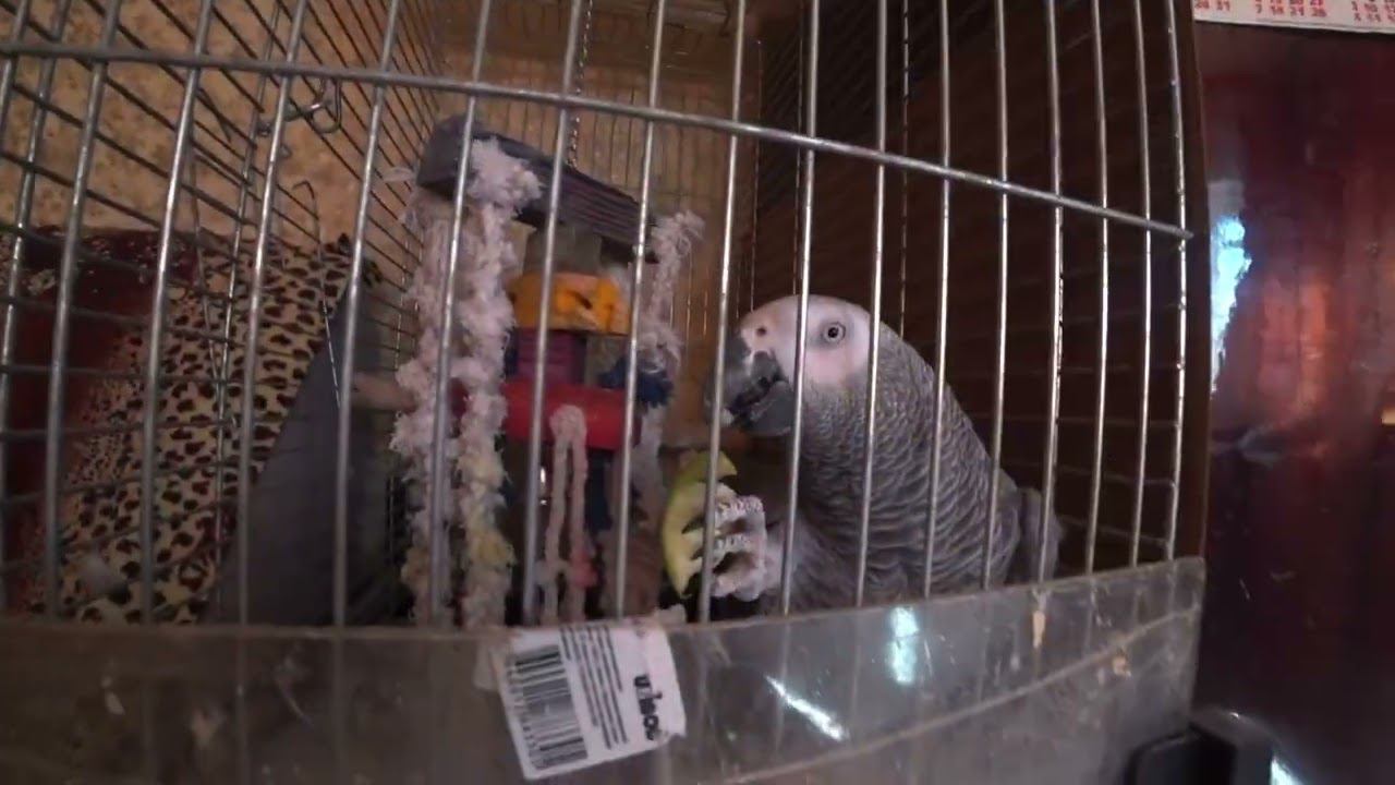 Приезд Друзей из Москвы Отдых на Даче смотреть онлайн