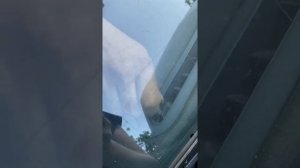 Renault Clio 2, замена щитка приборов