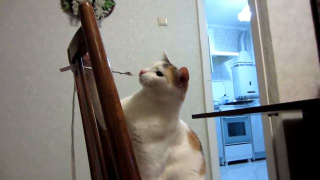 Маруськин смотреть онлайн