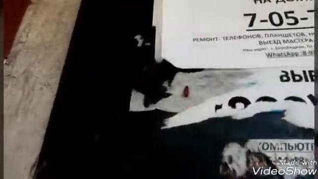 Тараканы в подъезде смотреть онлайн