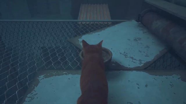 Stray: THERE ARE HEADCRABS?! смотреть онлайн
