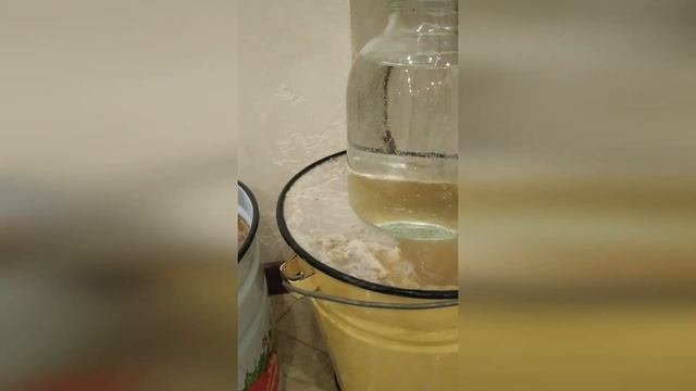 Архиерейский (монастырский) способ засоли грибов. Часть 4 смотреть онлайн